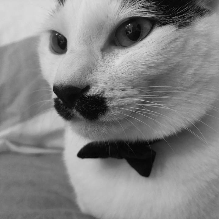 B4c6dd64 8d75 4d6f 915d 25347f0f1331