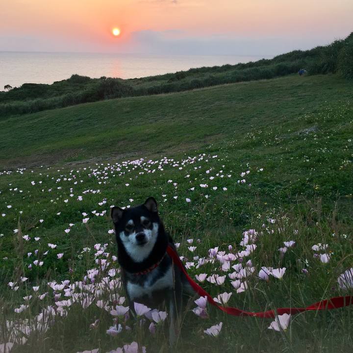 B4c6f0f6 fd4a 4ad7 8bb9 e58cccb8ce65