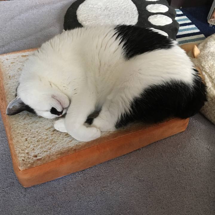 B4c6feb2 ee90 49a2 88f5 346b32820711