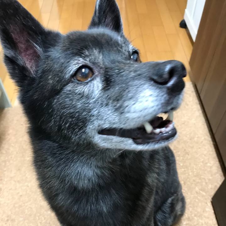 B4c75f91 4349 4112 83bd 5c72f7d7ed24