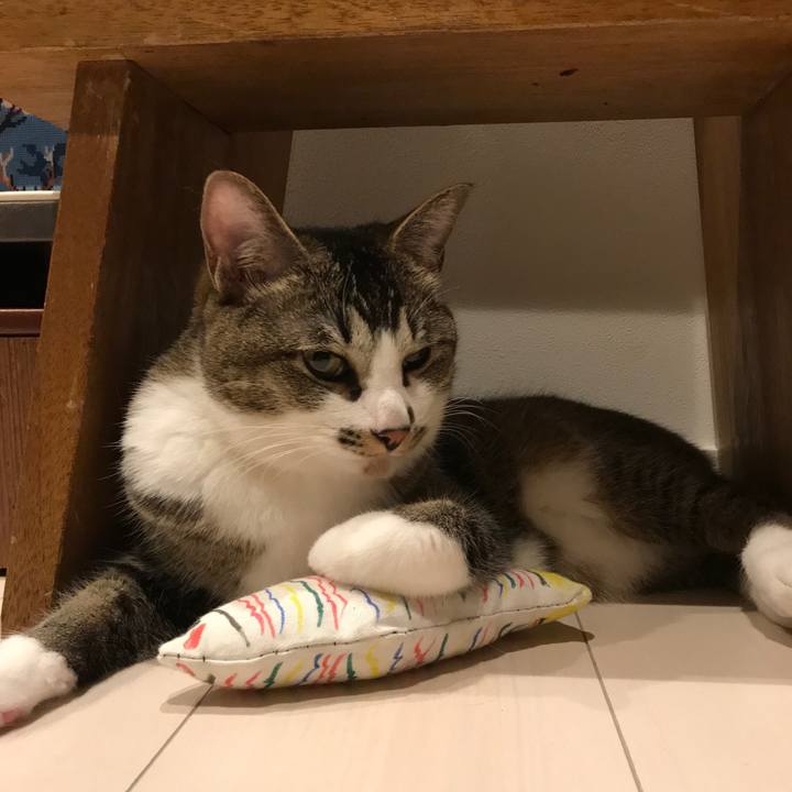 B4c8799f 7a1f 4965 9565 36309e3fbc7d