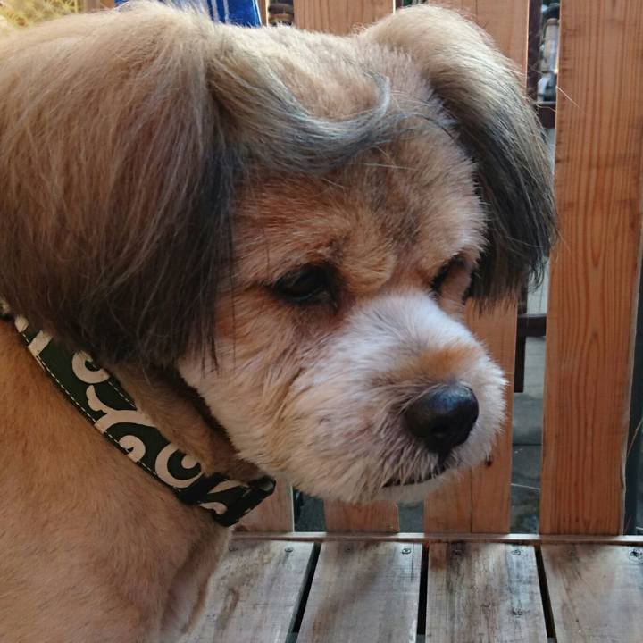 B4c89bd9 3f73 4146 a8c3 56da13c63114