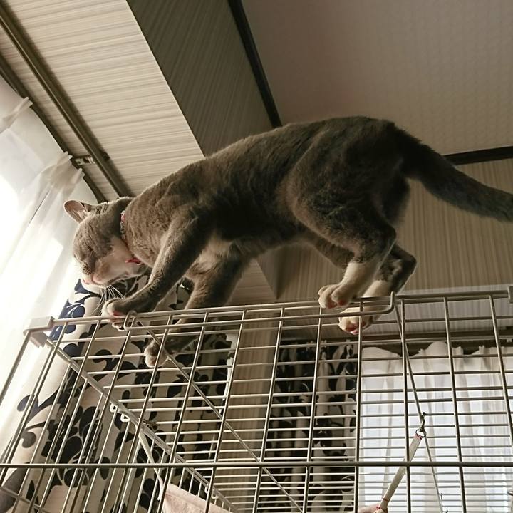 B4c8c26c 90f4 4264 b433 b7ac70277f98