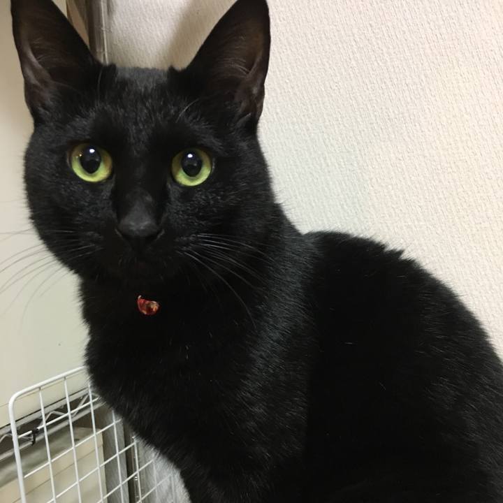 B4c8e4ee 1ffa 4255 9338 0dfc8ebc5b57