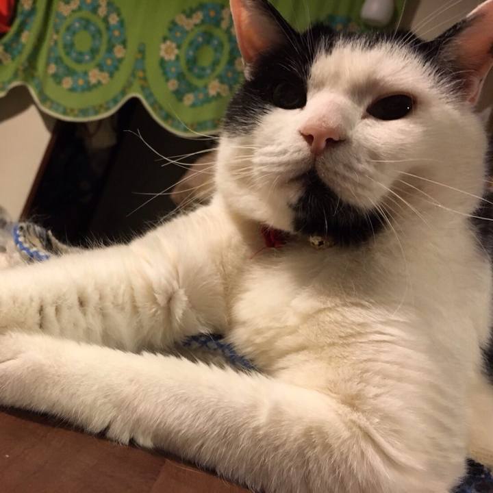 B4c8f713 18ee 4a12 93ab 2e83e602a3e1