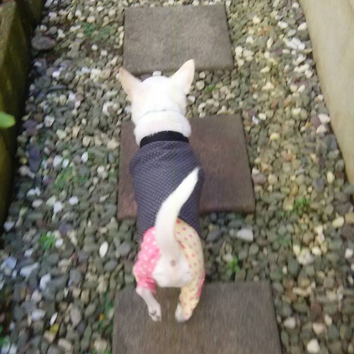 B4c9860a 2a7e 4ab4 8d57 91fe0bf74d2c