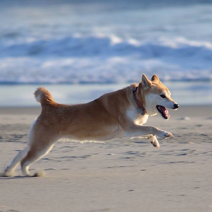 B4ca6893 83b5 40a0 aedc b8329e3fa76c