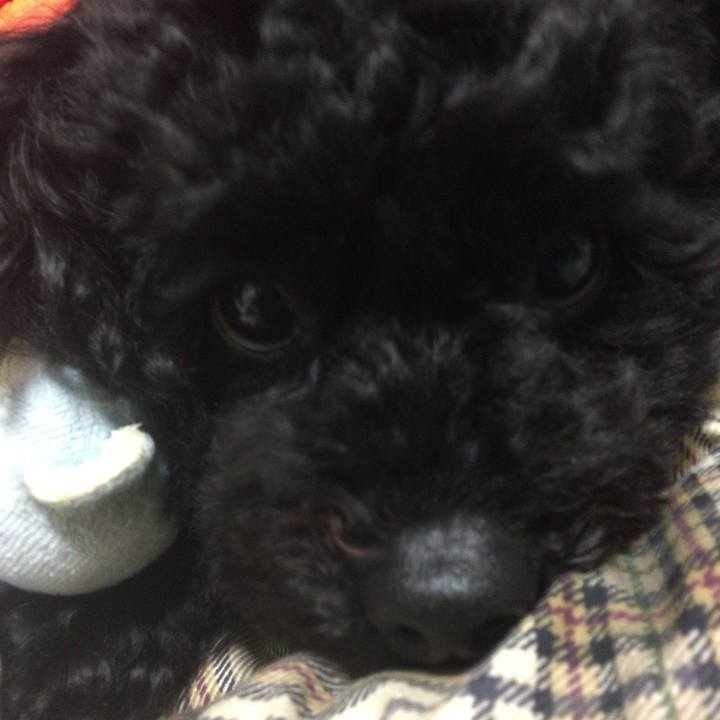 B4cae434 bae3 4a16 bddb 1cd280654a34