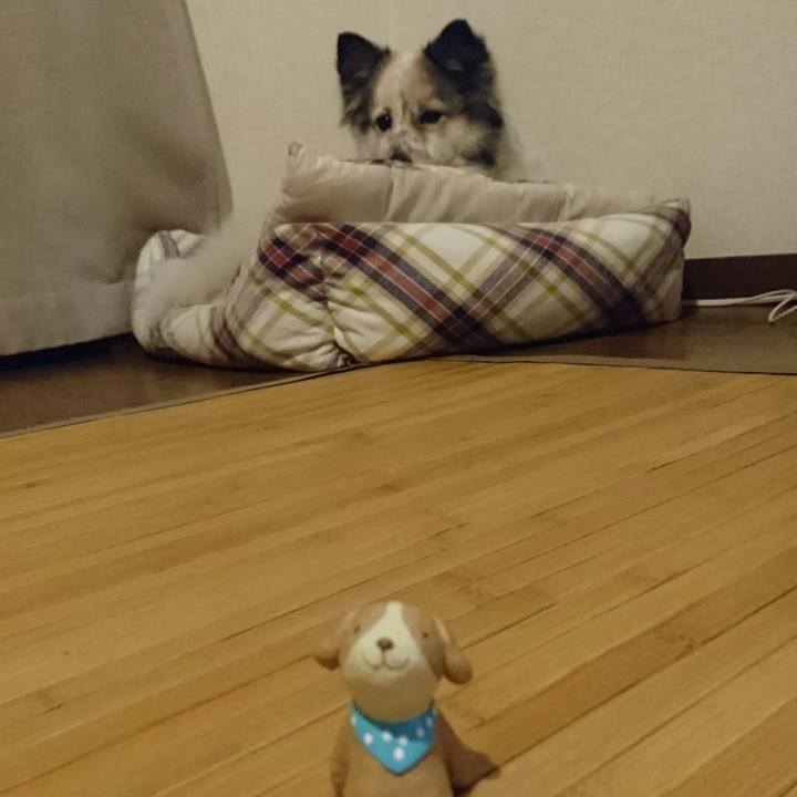 B4cb38e0 b13e 41bc afc0 cb63a022cb51