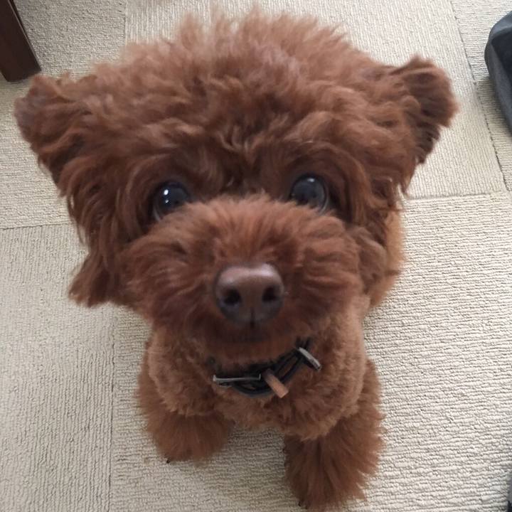 B4cb3e07 e836 489f 9ef5 ab727d39169d