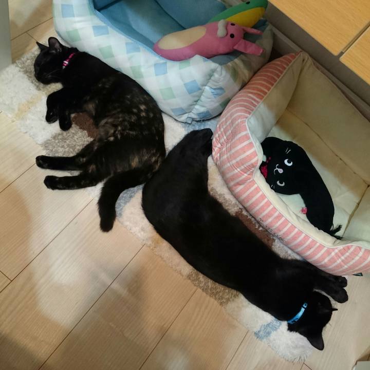 B4cb4c9b 55ab 4f1d 8839 f7f8ba8e8ff4