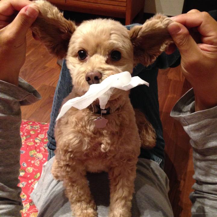 B4cb7fce 0196 4424 8b4c 81dc231c1dc9