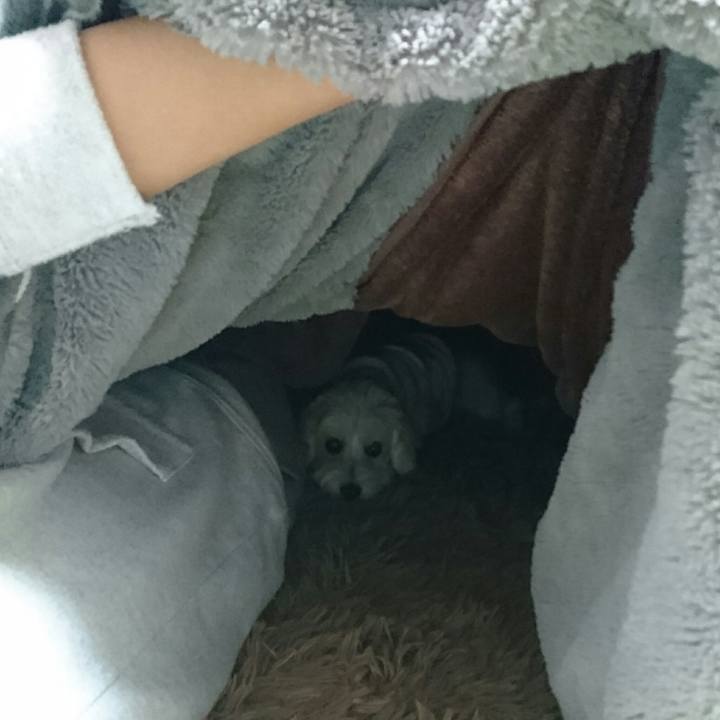 B4cc2fe1 b6e8 4184 9470 78f0c8cf24e3