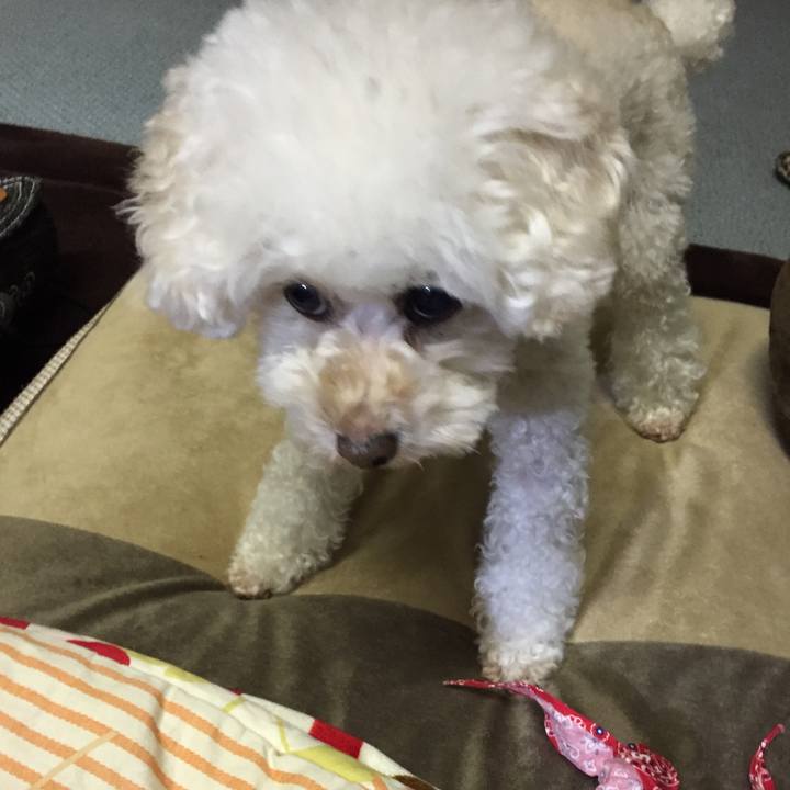 B4ccaf8c 85cb 4f36 923a 56f1bd0a8e92