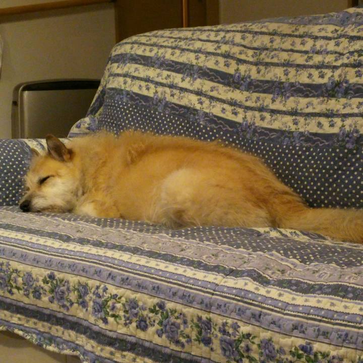 B4cd64e2 8f13 4291 81f8 12043d7f57c1