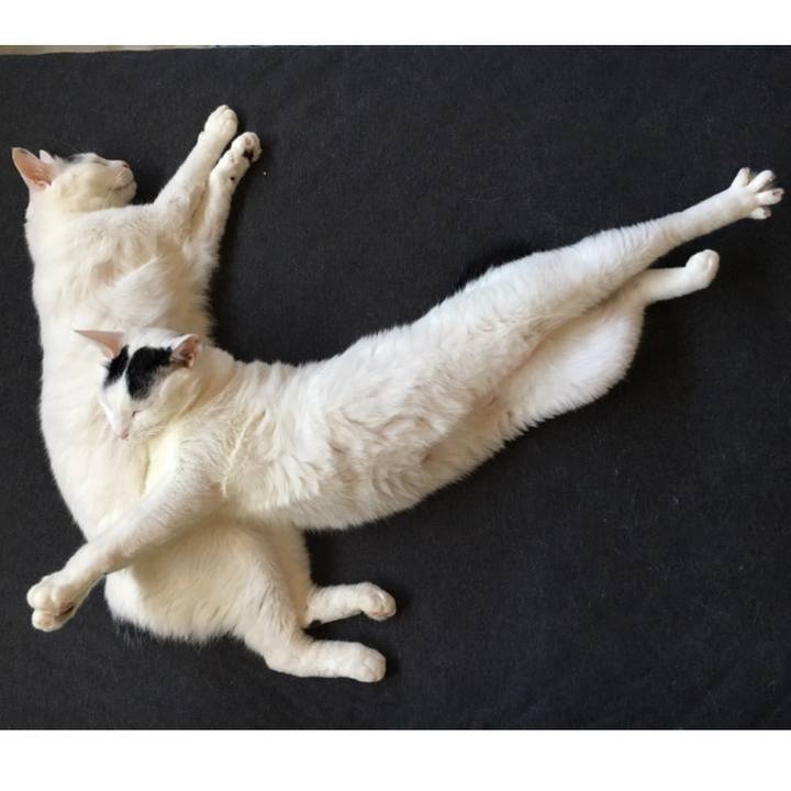 B4ce1bd1 9b1c 433b 85c5 bdfb52fb5d44