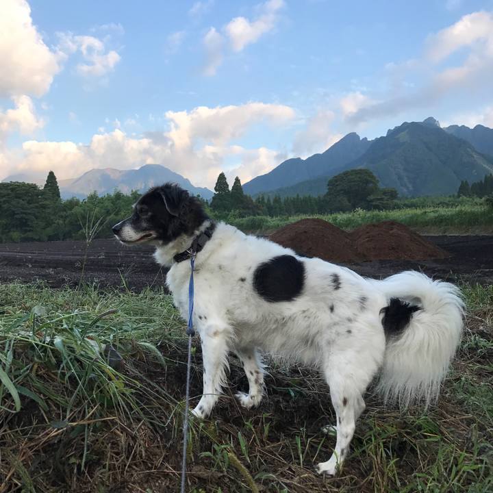 B4ce1c99 a05c 4f5c 9dea 98b6f2f61944