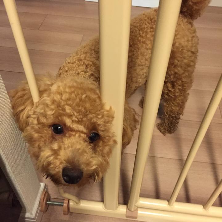 B4ce6b9f 3f83 47fa beef ff7b111990bb