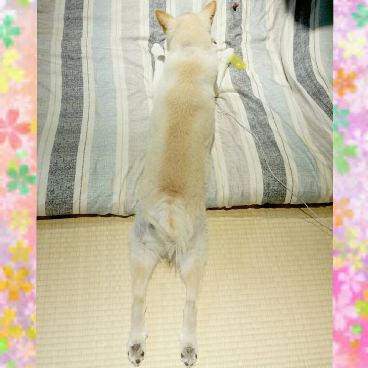 B4cec6d4 84a2 4a94 8edb e968d92cea0b