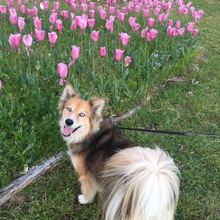 B4cec792 2f9e 4981 ac5e f9c0711487e4