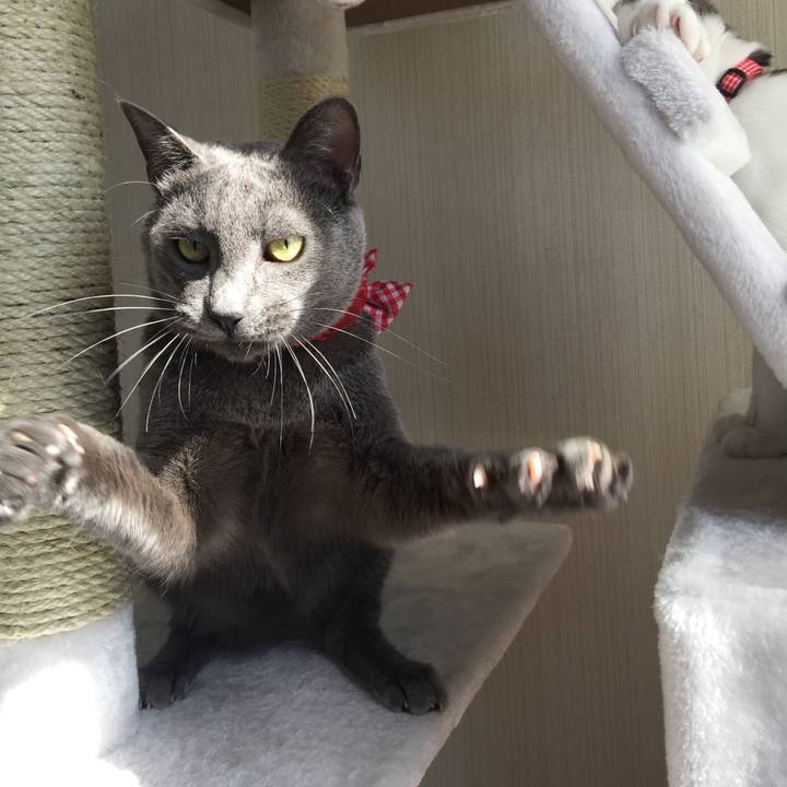 B4cef8ac 0851 486e b8f5 6fd70dba726e