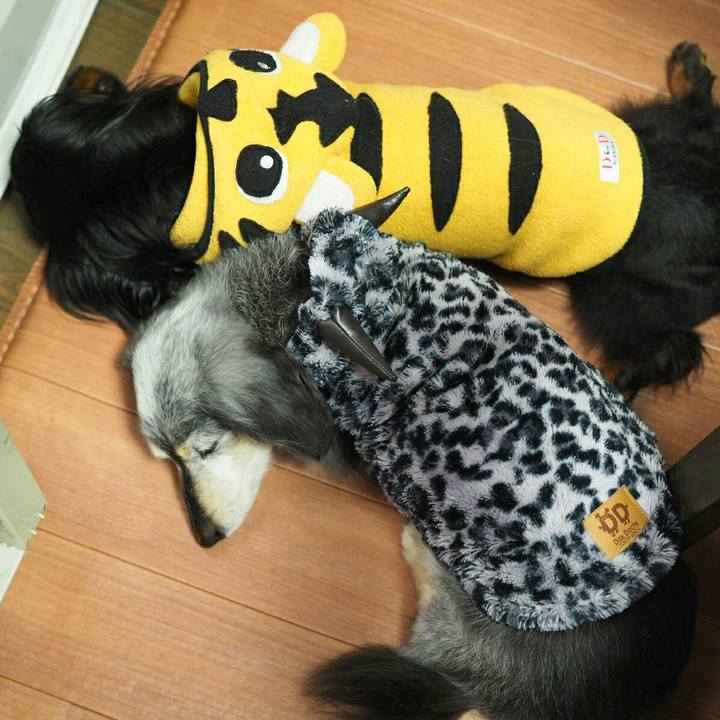 B4cf2a04 c80c 4b94 9f85 e53e812a79a1