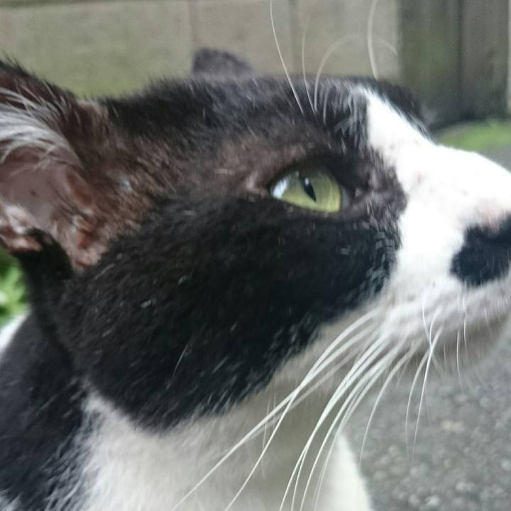 B4cf46e5 0be7 4b9b b79e 0e10d88e0801