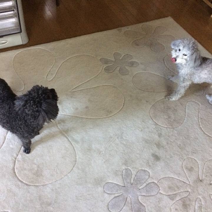 B4cf7374 2aaa 4f65 b8b7 baf4187f98c2