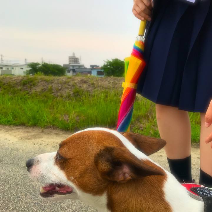 B4cfc557 b0f9 4ffd 8562 298ee01e1391