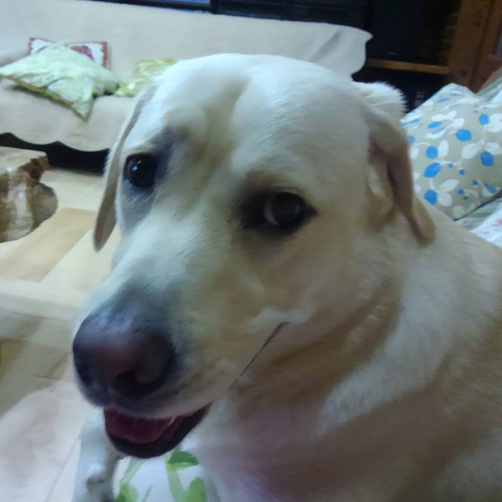 B4cfd880 1d0a 4720 aace 1b0765afb49a