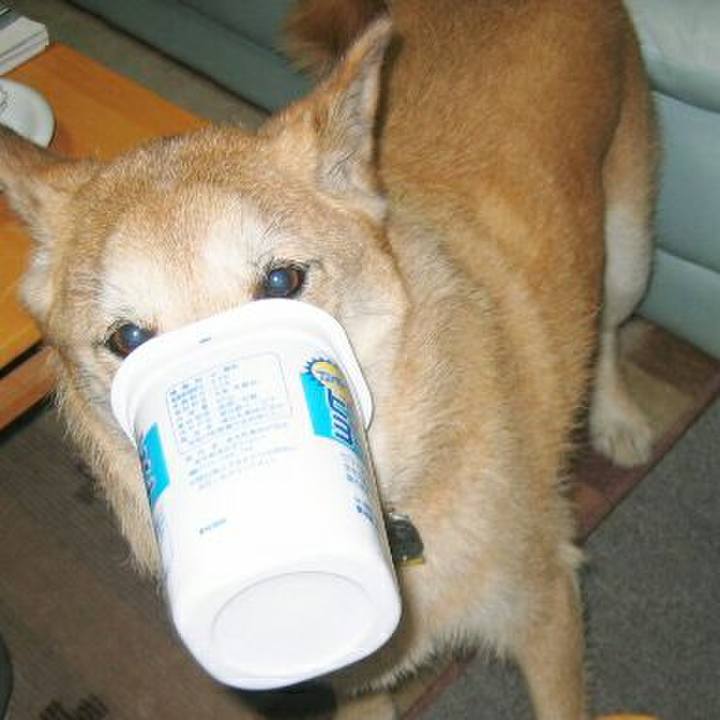 B4d15bbf 0053 4fa4 9af3 b5da4c65720b