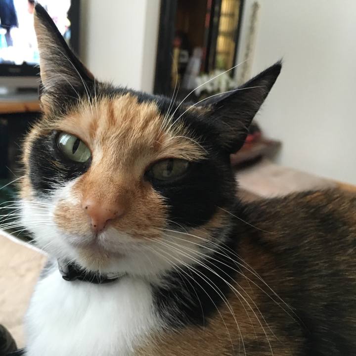 B4d15cad fcb0 40cc 8f5a 666b950e8e45