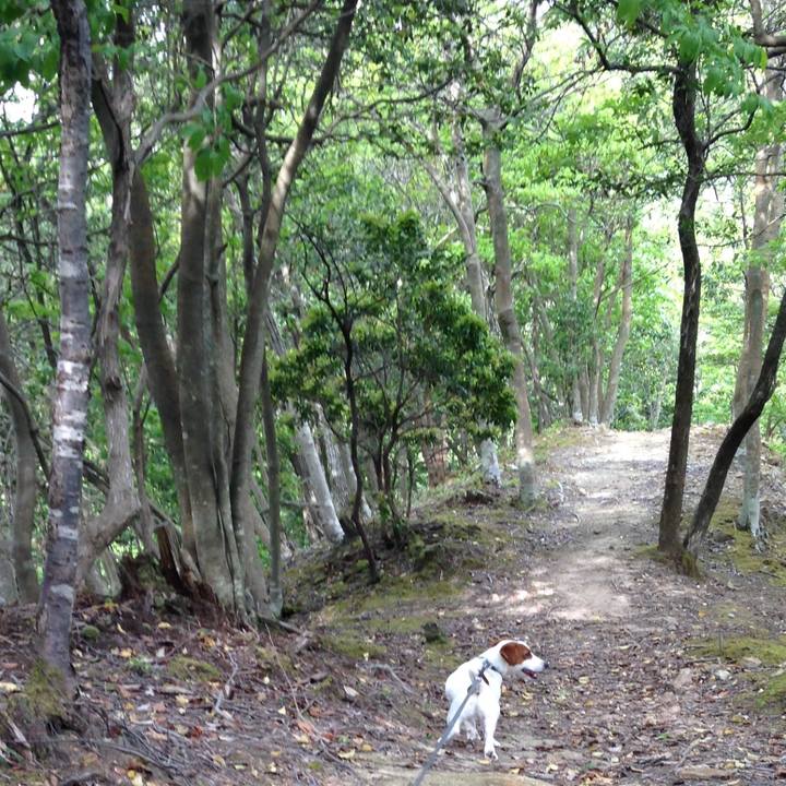 B4d17a05 d4d0 4d32 9ea3 69524c98c481