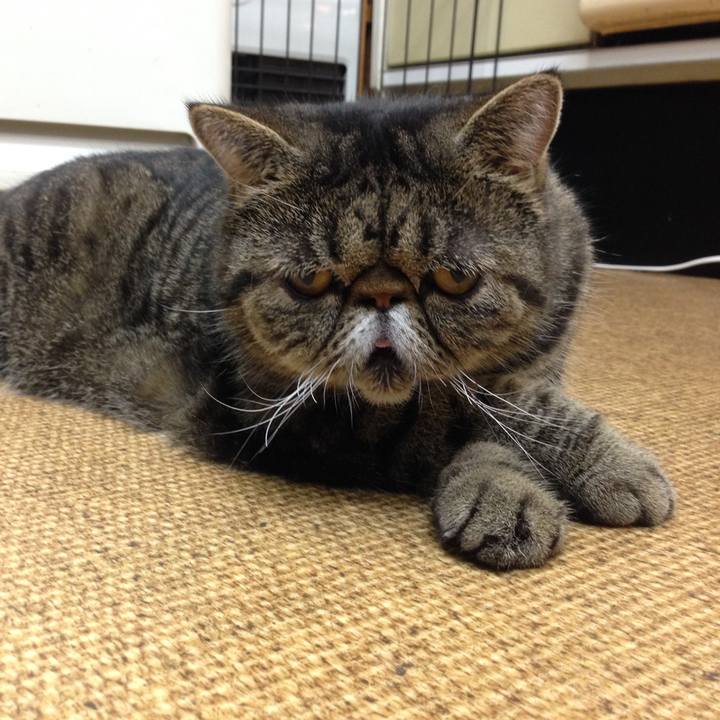 B4d2aad1 edf1 43cd 8af5 5c494ccfc9dc