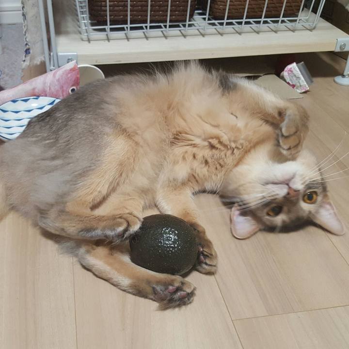 B4d2bcd3 d142 4419 850c e016352b4ae8