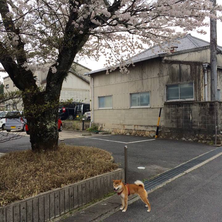 B4d2f370 74f7 4acd a7a1 73afa41519be