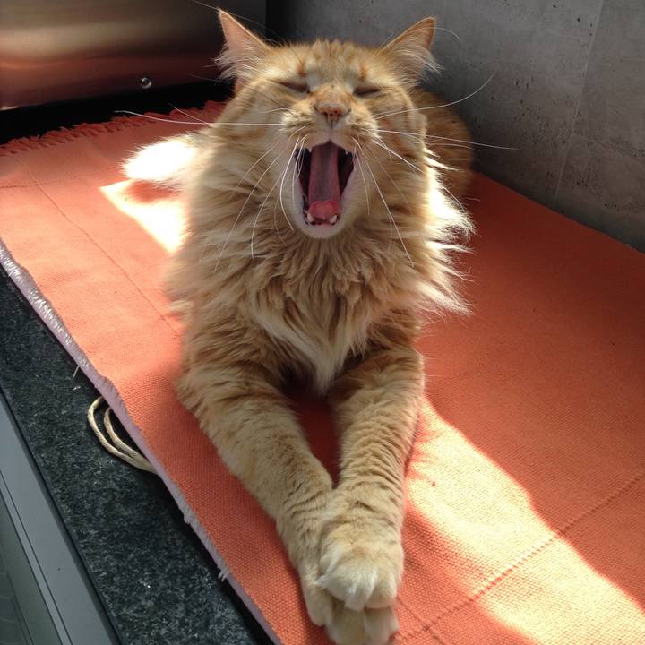 B4d30037 b925 461e a495 c189757c2510