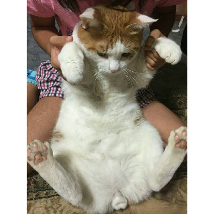 B4d3c099 5668 4426 b71d e716534db47f