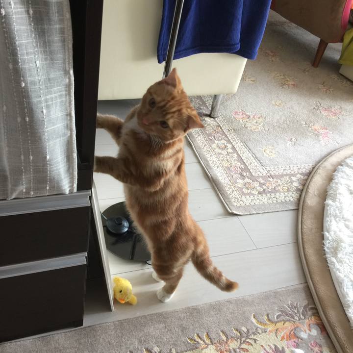 B4d4a08f 0261 482c 92fc f429c59ea7c8