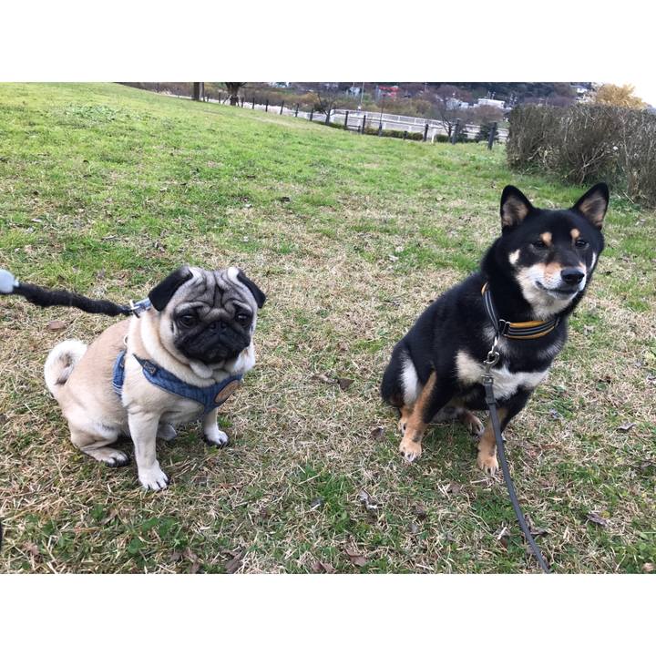 B4d7d066 f5fb 4ce2 8c03 fa01d289addf