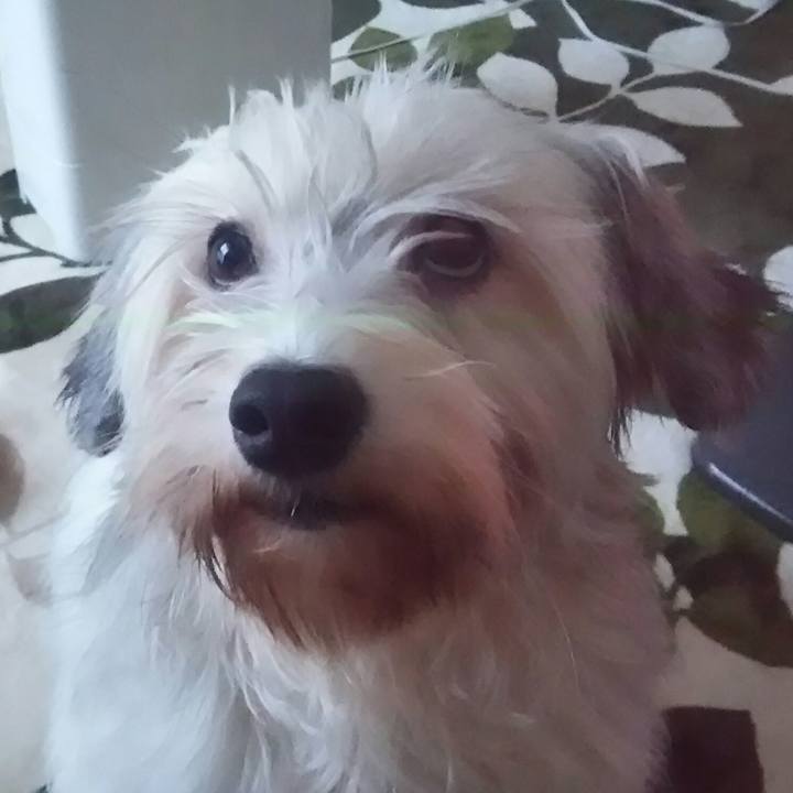 B4d812f3 7c18 4e9d 9aa7 ca0d9465d7ca