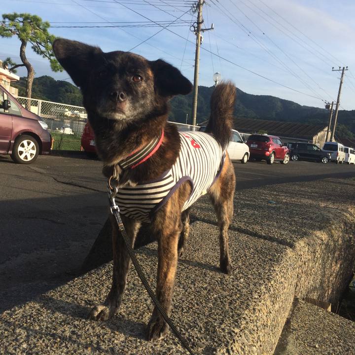 B4d858b6 00b5 4081 a875 e130c082a7f4