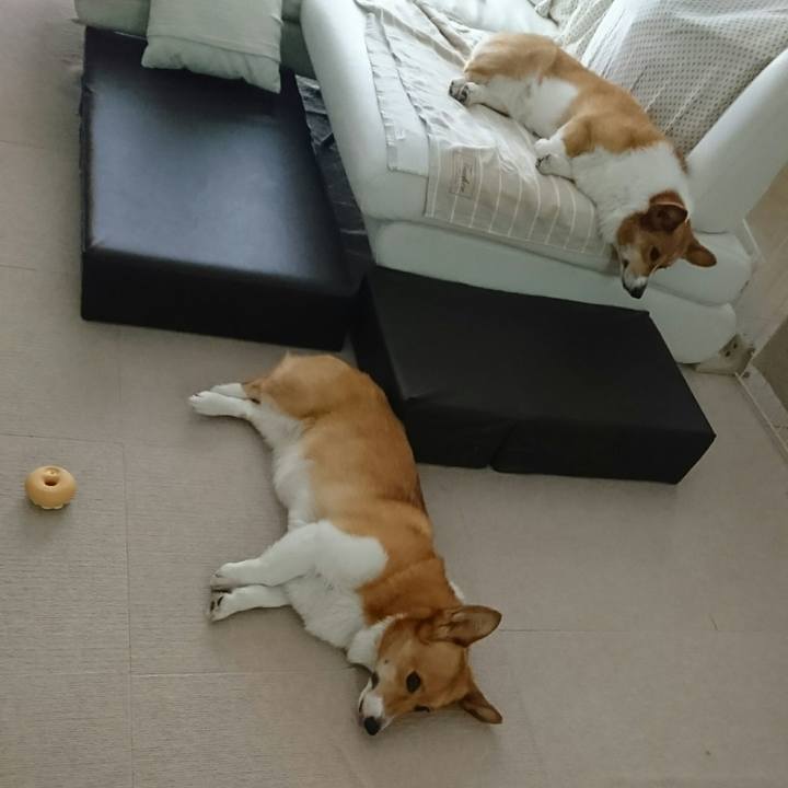 B4d8bc37 d1d4 4c1b a9e1 0b5b1d1f8d1f