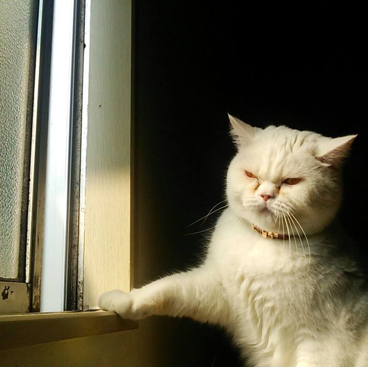 B4d97d99 10e0 4dd7 aab5 cc0f56e83318