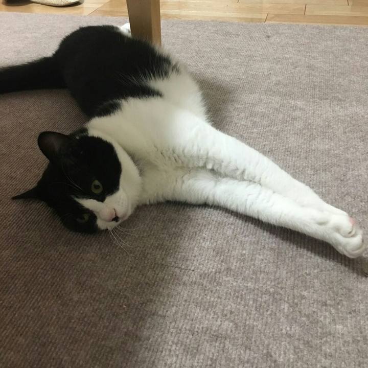 B4d9a4ec 7562 43b6 b1b5 cd4fb9f4d1c7