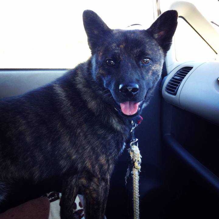 B4da2f78 69a1 4e86 aab4 31927657e0c5