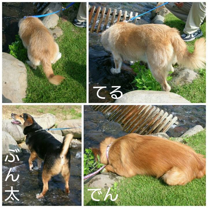 B4da666d da5e 4446 82e8 7df162e885d2