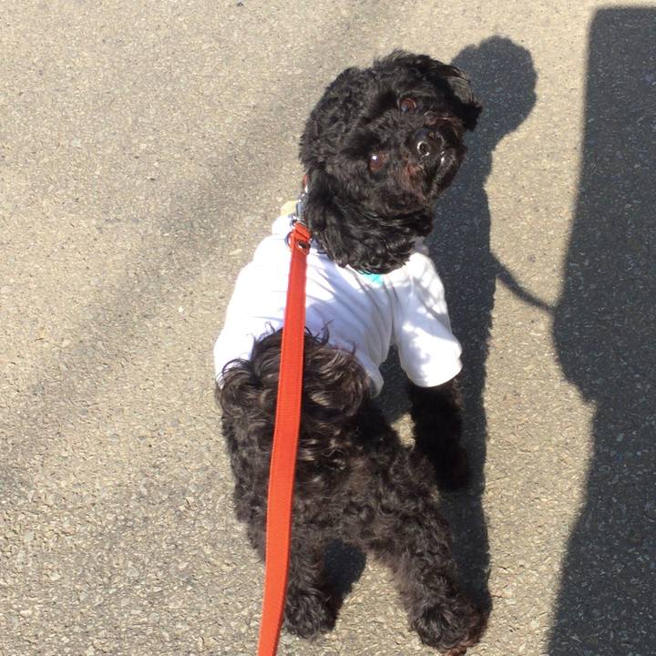 B4daa941 648f 486e a167 92606b851d7c