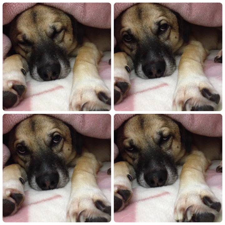 B4dace1e 9f16 4ee3 8ab8 416216003876