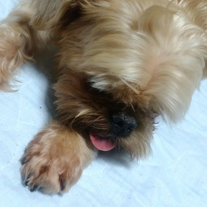 B4daf3e3 f8c1 4260 9fa1 9c370313b6e0